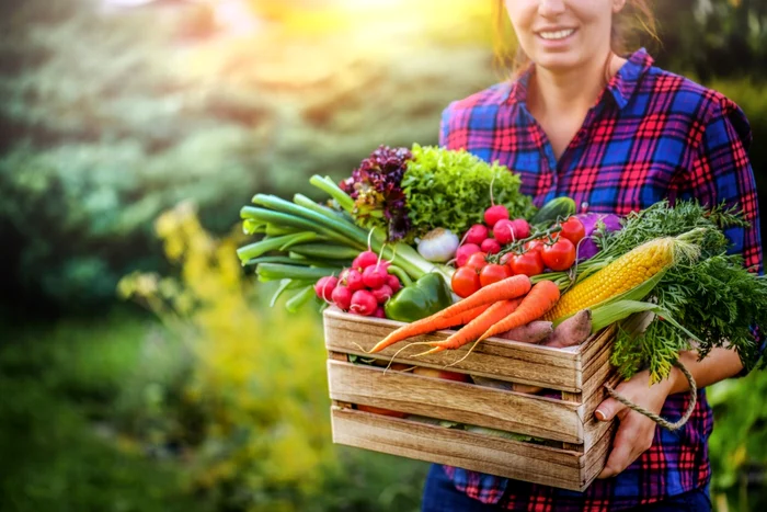 Agricultur-la-ora-un-liceu-din-Bistria-Nsud-a-pus-la-dispoziia-doritorilor-cteva-parcele-pentru-a-cultiva-legume-i-flori