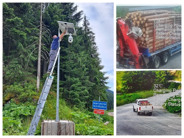 Big-brother-n-pdurile-din-Bihor-Direcia-Silvic-a-montat-o-camer-programat-s-urmreasc-mainile-cu-lemne