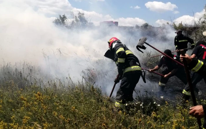 Botoani-Un-incendiu-de-vegetaie-pornit-de-la-o-combin-s-a-extins-pe-20-de-hectare