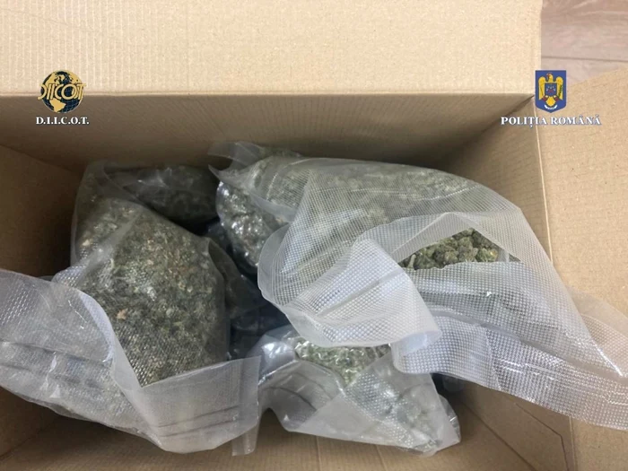 Cum-a-fost-prins-romnul-care-a-a-adus-peste-5-kilograme-de-droguri-din-Spania-Folosea-reeaua-unei-firme-de-transport