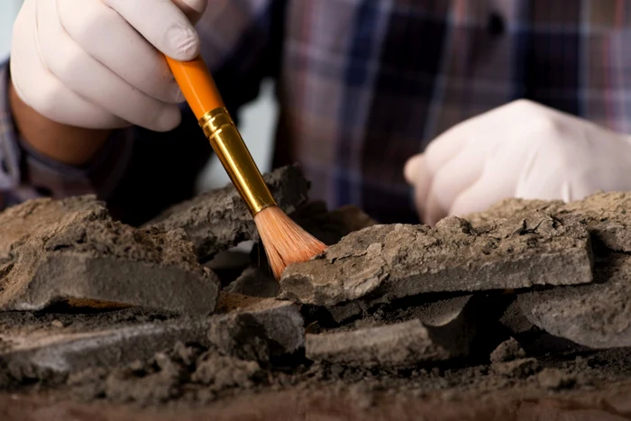 Descoperire-de-excepie-Mormnt-dacic-de-incineraie-descoperit-la-imleu-Silvaniei-de-ctre-arheologi