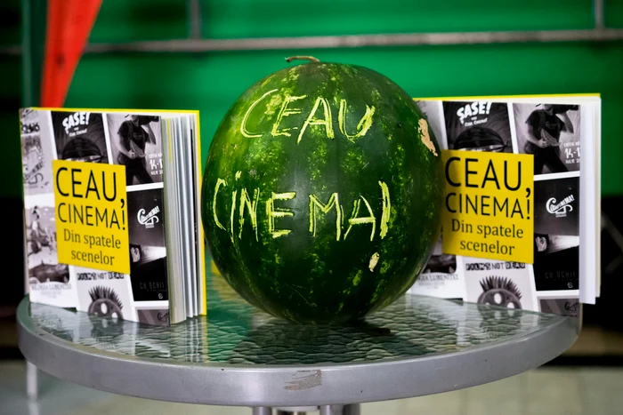 Festivalul-de-film-Ceau-Cinema-de-la-Timioara-la-a-zecea-ediie