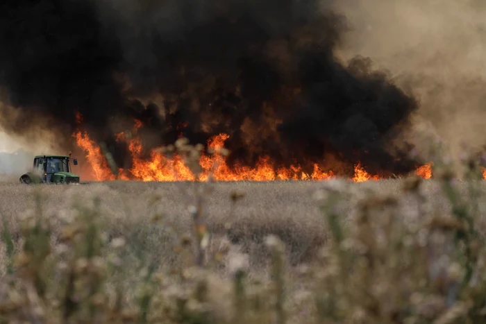 Incendiu-de-vegetaie-uscat-la-Petroani-n-apropierea-unui-tren-cu-vagoane-cistern