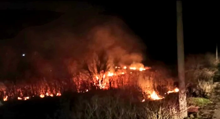 Incendiu-puternic-n-municipiul-Giurgiu-Au-ars-2000-de-metri-ptrai-de-vegetaie-uscat-