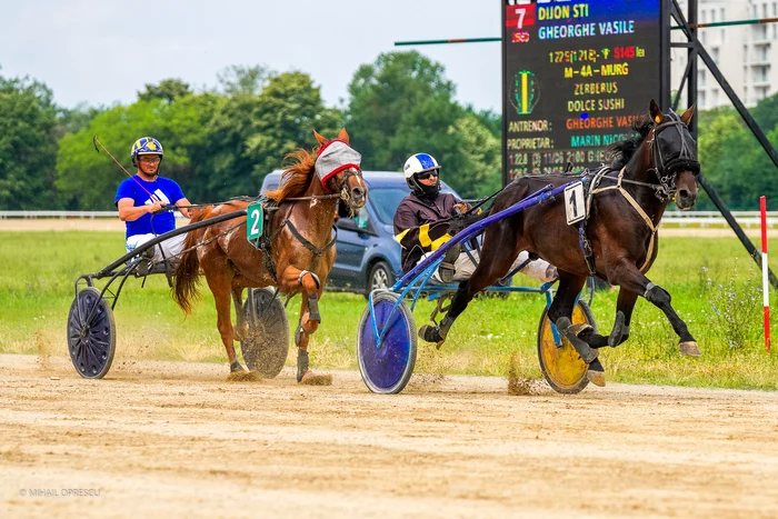 Marele-Derby-Regal-al-Romniei-la-Trap-eveniment-gzduit-de-Hipodromul-Ploieti-duminic-9-iulie