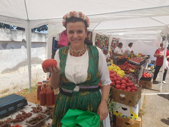 Secretul-roiilor-gustoase-din-zona-de-Vest-a-rii-ngrmntul-preios-folosit-de-productori-FOTO--