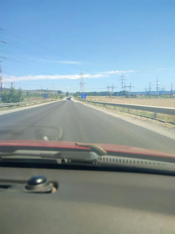 Surpriz-de-comar-pentru-o-oferi-Nu-tiu-dac-mai-e-n-main-se-refugiase-sub-capot