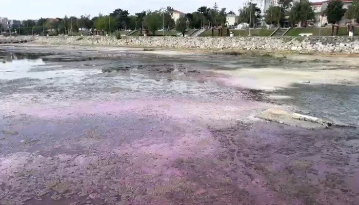 Techirghiol-singurul-lac-roz-din-Romnia-Imagini-cu-spectacolul-misterios-i-efemer