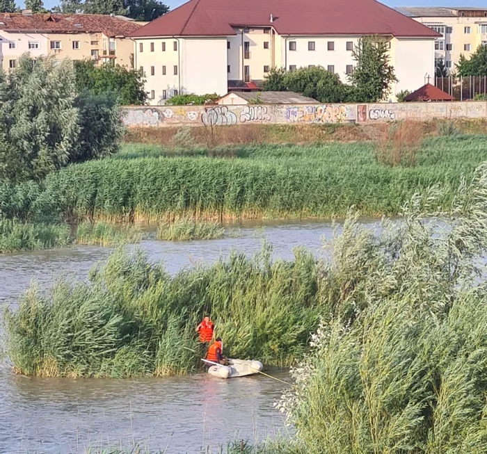 ansa-unui-cel-salvat-de-pe-o-insul-a-rului-Moldova-n-Neam-A-fost-adoptat-de-un-pompier