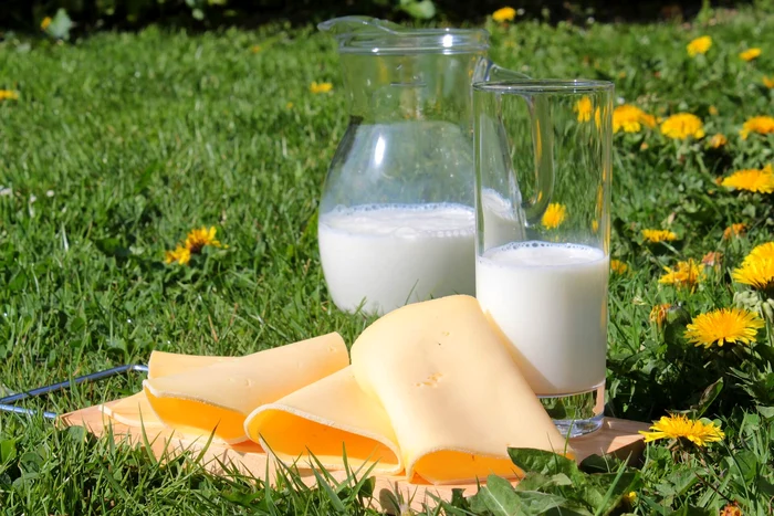 Ce-nseamn-bio-eco-organic-i-natural-Diferenele-dintre-termeni