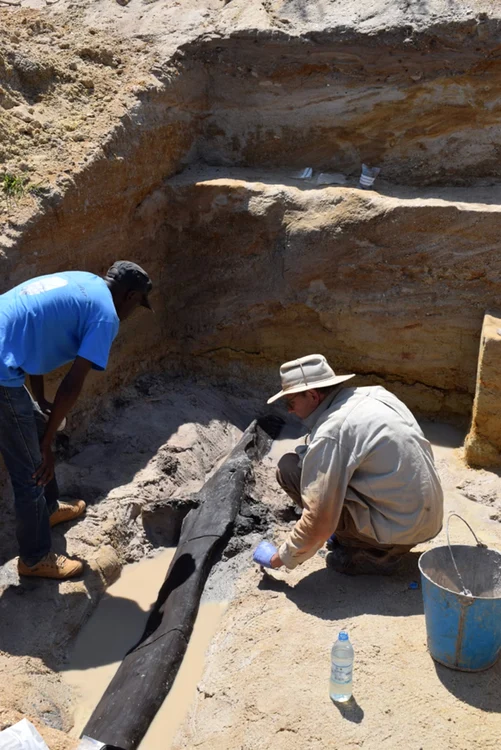 Cea-mai-veche-structur-construit-de-o-specie-disprut-de-oameni-a-fost-descoperit-de-arheologi