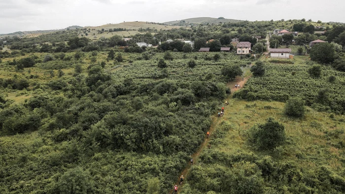 Drumeie-pe-trmul-vinului-Via-Soarelui-traseul-care-traverseaz-podgoria-Dealu-Mare-atrage-turiti-din-toate-colurile-rii