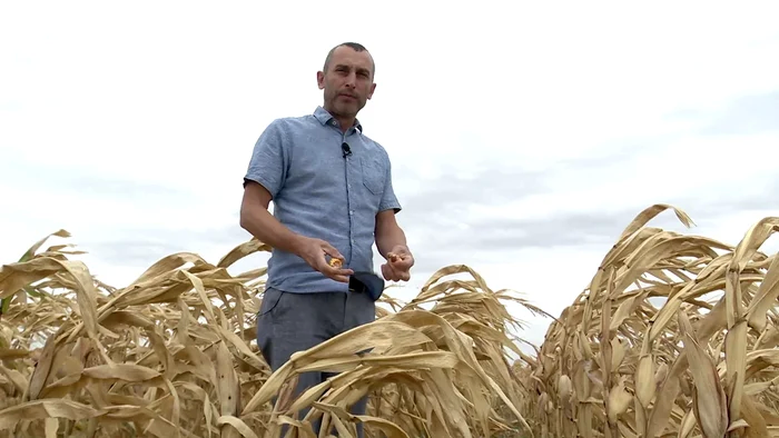Grul-rmas-n-depozite-porumbul-rmas-afar-Probleme-n-valuri-pentru-agricultorii-romni
