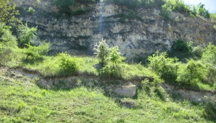 Plaiul-Hoilor-rezervaia-natural-dintr-o-cunoscut-staiune-Aici-s-au-gsit-fosile-de-plante-i-animale-din-Cretacic