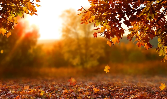 Prognoza-meteo-pe-4-sptmni-Anunul-ANM-cnd-vine-frigul-i-unde-sunt-ateptate-ploi-de-toamn