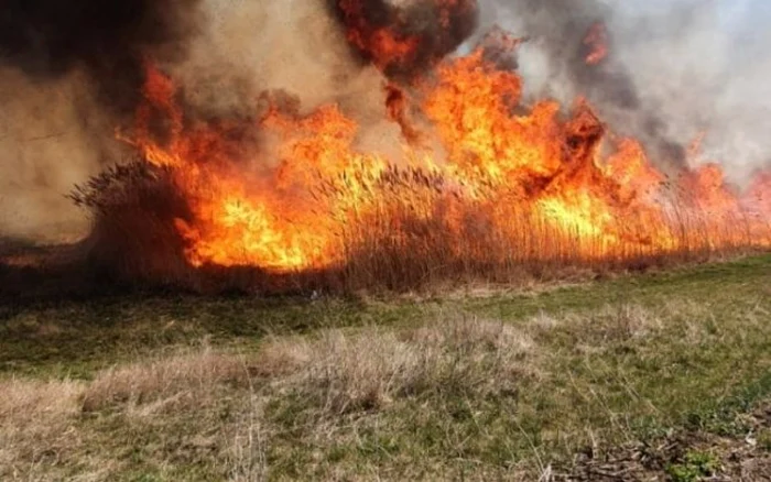 Un-poliist-din-Olt-a-murit-n-timp-ce-ncerca-s-sting-un-incendiu-de-vegetaie