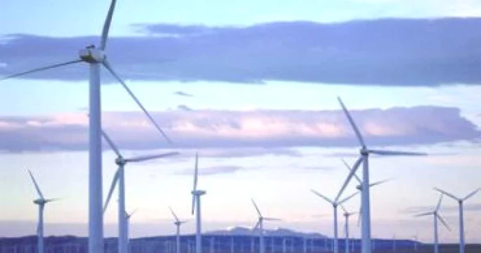 Birocraia-ngreuneaz-accesul-pe-piaa-de-producere-a-energiei-din-surse-regenerabile-studiu