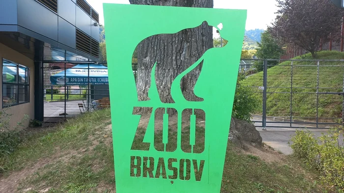 Grdina-Zoologic-din-Braov-admis-n-Asociaia-European-Vor-putea-fi-aduse-specii-care-nu-mai-sunt-n-Romnia-