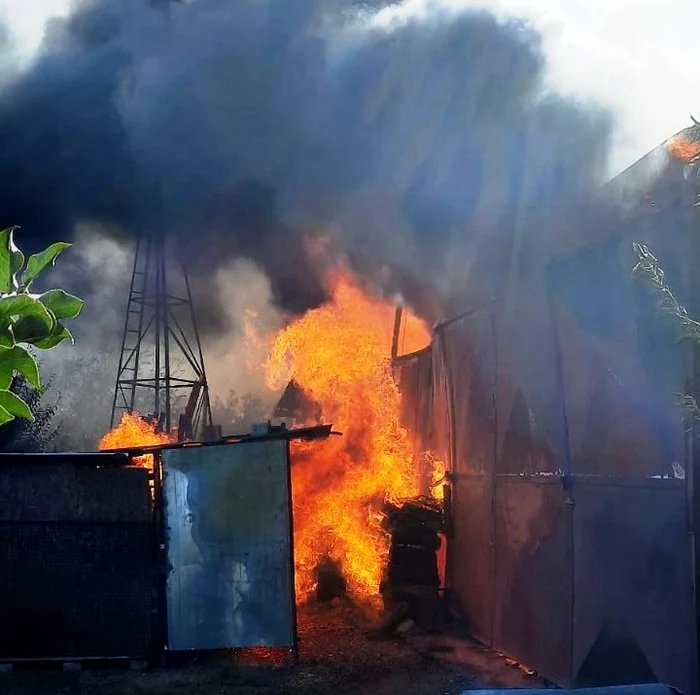 Milioane-de-albine-au-ars-n-dou-incendii-petrecute-n-Neam-Imprudena-apicultorilor-pgubii-