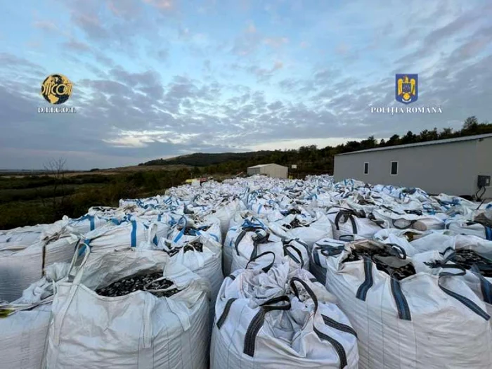Transporturi-cu-deeuri-din-Italia-depistate-n-incinta-unei-societi-comerciale-din-judeul-Bihor