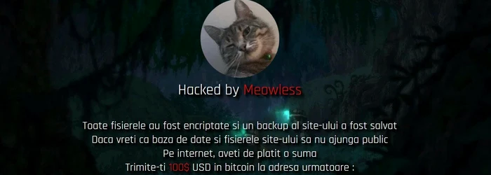 Hackerul-Meowless-trimis-de-judectori-la-coal-Cu-doar-patru-clase-a-spart-site-uri-de-instituii-publice