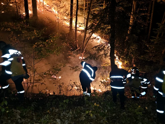 Incendii-puternice-n-pdurile-din-Vrancea-Pompierii-nu-pot-ajunge-din-cauza-drumurilor-iar-n-zon-nu-este-nici-semnal