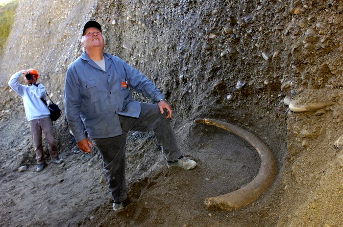 O-feti-a-descoperit-oase-de-mamut-vechi-de-100000-de-ani-n-timp-ce-pescuia-cu-tatl-ei