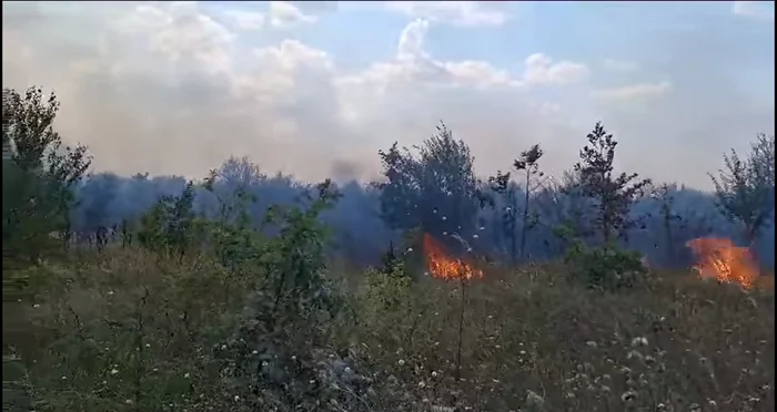 ASFOR-Romnia-poate-pune-n-valoare-biomasa-forestier-i-agricol-risipit-prin-incendieri-ilegale