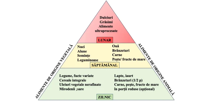 Alimentaia-Carpato-Danubian-n-centrul-unui-proiect-UBB-Med-lansat-de-Ziua-Mondial-a-Obezitii-