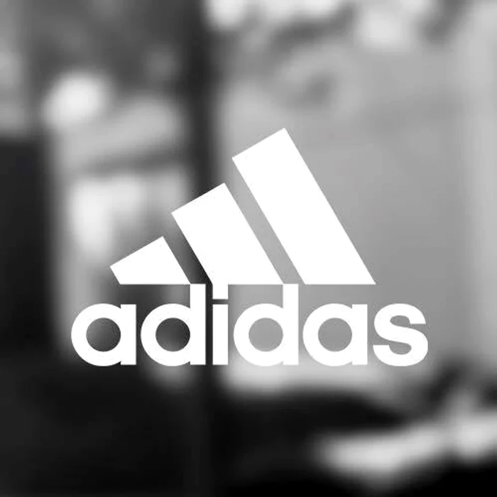 Apelul-n-disputa-dintre-Adidas-i-Nike-a-nceput-n-Germania
