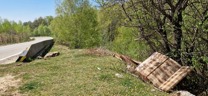 Canapele-i-saltele-aruncate-n-pdurile-din-Rnca-i-pe-marginea-Transalpinei-De-unde-provin-cele-mai-multe-deeuri-FOTO