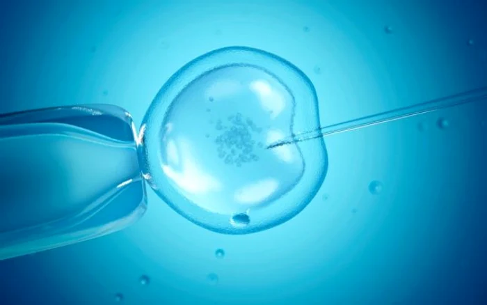 Cercettorii-au-descoperit-o-metoda-non-invaziv-care-ar-putea-prezice-cu-exactitate-rezultatele-fertilizrilor-in-vitro