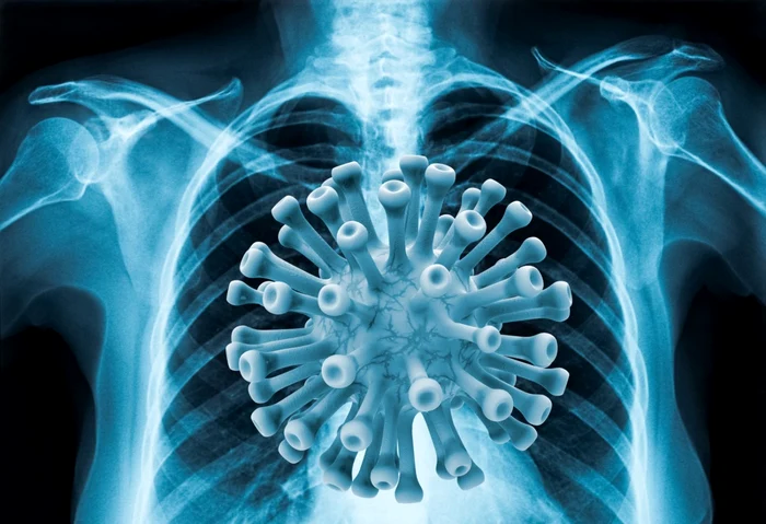 Cercettorii-chinezi-au-creat-o-tulpin-mutant-de-coronavirus-care-atac-creierul-Aceast-nebunie-trebuie-oprit-avertizeaz-oamenii-de-tiin-occidentali