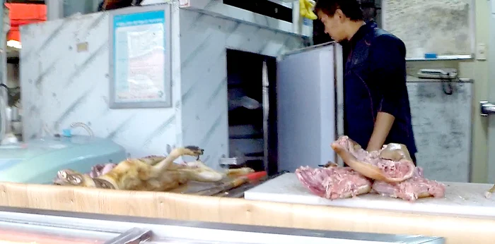 Coreea-de-Sud-anun-interdicia-consumului-de-carne-de-cine-Realizarea-unui-vis