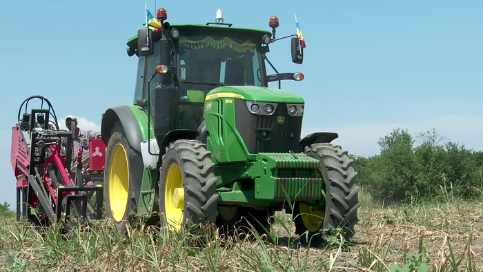Cum-a-devenit-usturoiul-o-cultur-profitabil-Judeul-unde-s-a-triplat-suprafaa-ntr-un-an-Pun-i-societile-agricole