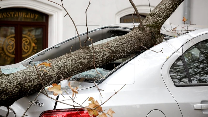 Despgubire-uria-pentru-un-ieean-cruia-i-a-fost-distrus-maina-ncaseaz-mai-muli-bani-dect-valoreaz-vehiculul
