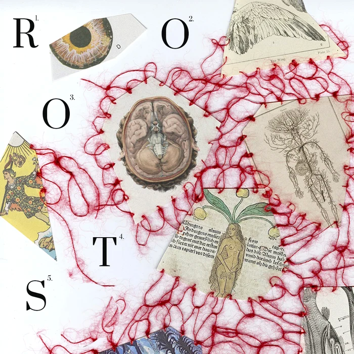 Despre-rdcini-i-legtura-cu-natura-n-cercetarea-performativ-ROOTS---ateliere-conferine-i-Open-Studio-