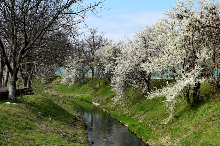 Dezbatere-aprins-pentru-Pea-prul-cald-din-Romnia-Edilii-vor-s-extind-strada-traversat-de-ap-ecologitii-se-opun