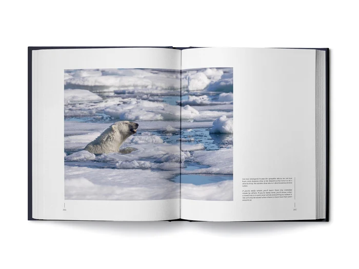 Emoiile-animalelor-reunite-ntr-un-album-fotografic-de-la-psrile-din-Delt-i-ursul-din-Carpai-pn-la-pufinii-din-Feroe-i-urii--de-la-Polul-Nord
