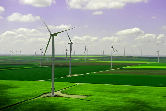 Germania-sacrific-studiile-de-mediu-pentru-construcia-de-parcuri-eoliene
