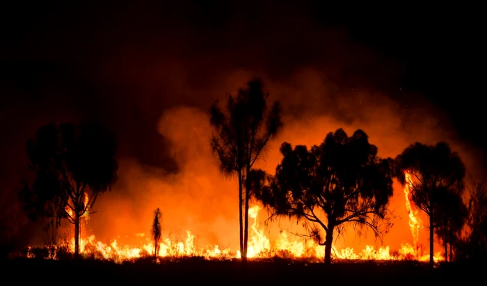 Incendiu-de-amploare-n-Vlcea-ard-peste-100-de-hectare-de-vegetaie-uscat