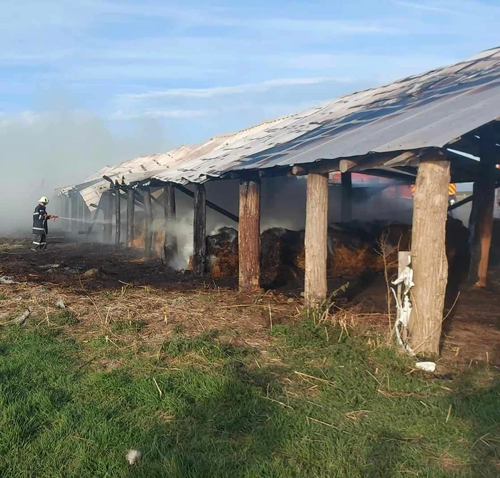 Incendiu-devastator-la-Arad-persoan-ars-la-mini-i-50-de-ovine-moarte-n-flcri-