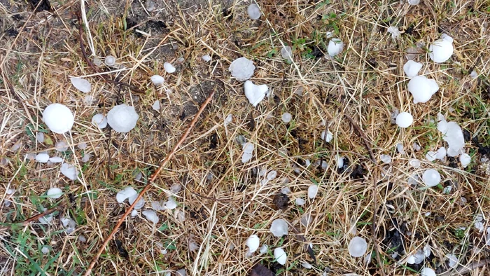 Investiii-de-peste-68-de-milioane-de-lei-pentru-combaterea-fenomenelor-meteo-periculoase