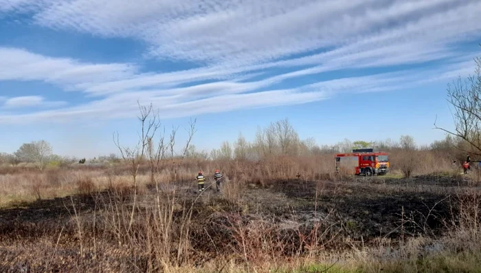 Nou-incendii-de-vegetaie-ntr-o-singur-zi-Peste-19-hectare-de-teren-afectate-n-Dmbovia
