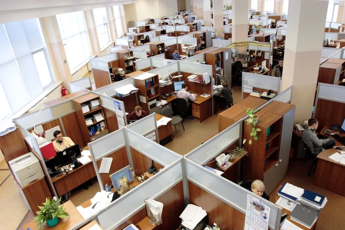 O-firm-din-Cluj-vrea-s-ajung-la-2000-de-angajai-Ce-business-nou-a-deschis