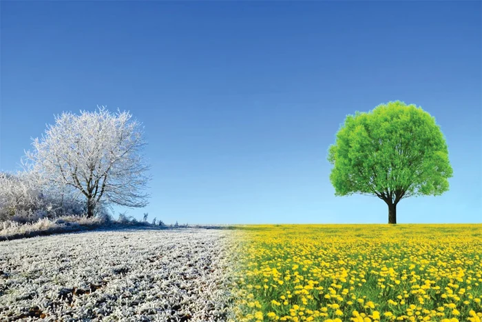 Omenirea-a-nregistrat-cea-mai-clduroas-lun-ianuarie-din-istoria-msurtorilor-meteorologice