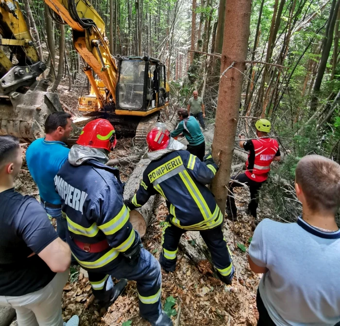 Patronul-unei-firme-de-exploatare-forestier-vinovat-de-moartea-unui-tietor-de-lemne
