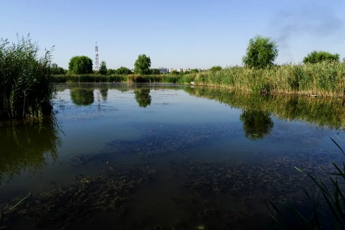 Peste-10000-de-elevi-vor-vizita-Parcul-Vcreti-n-decurs-de-o-lun-anun-Nicuor-Dan