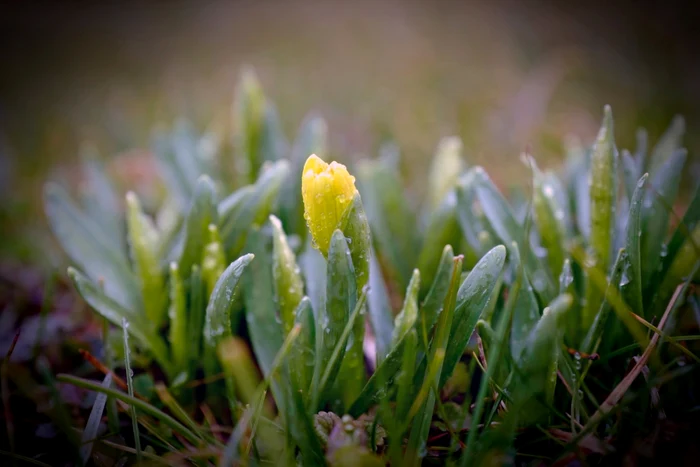 Prognoza-meteo-joi-28-martie-vremea-se-va-nclzi-uor-dar-ploile-vor-persista-n-anumite-zone