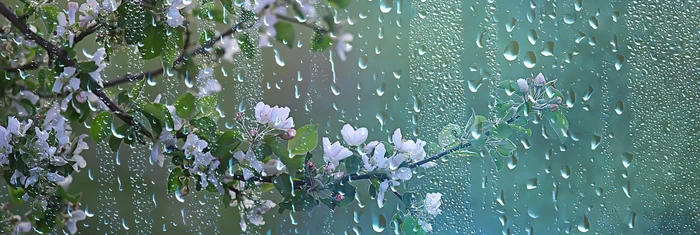 Prognoza-meteo-joi-4-aprilie-Vreme-schimbtoare-cu-temperaturi-ridicate-i-precipitaii-nsemnate-n-ce-zone-va-ploua